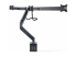Startech Crossbar Triple Monitor Desk Mount, VESA 75x75/100x100 - Tilbage