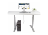 Startech - Adapterkabel - Forside